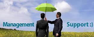 Management Support Services
